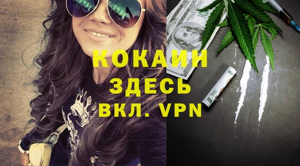 твердый Аркадак