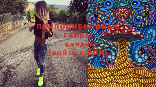 мдпв Арсеньев