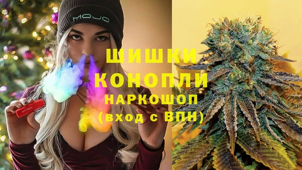 гидра Армянск