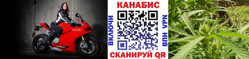 купить наркоту  Багратионовск  Бошки Шишки OG Kush 